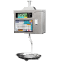 «ISHIDA» BC-4000 L2-H